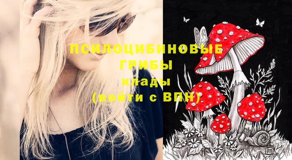 ПСИЛОЦИБИНОВЫЕ ГРИБЫ Алзамай
