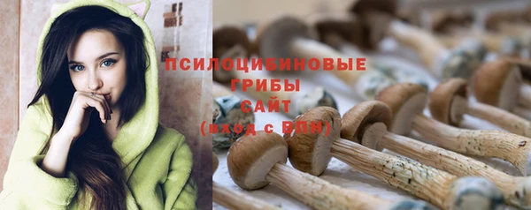 ПСИЛОЦИБИНОВЫЕ ГРИБЫ Алзамай