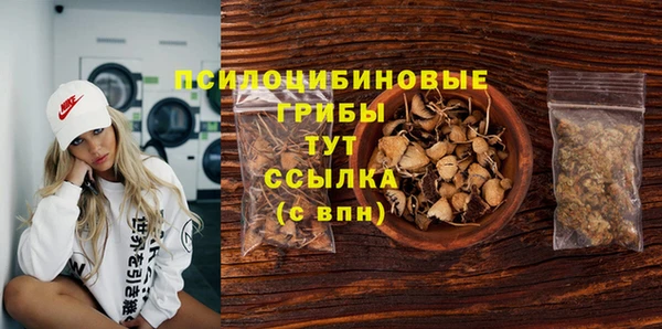 дживик Алексин