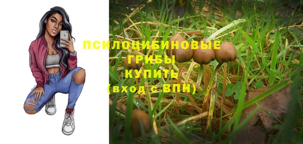 ПСИЛОЦИБИНОВЫЕ ГРИБЫ Алзамай